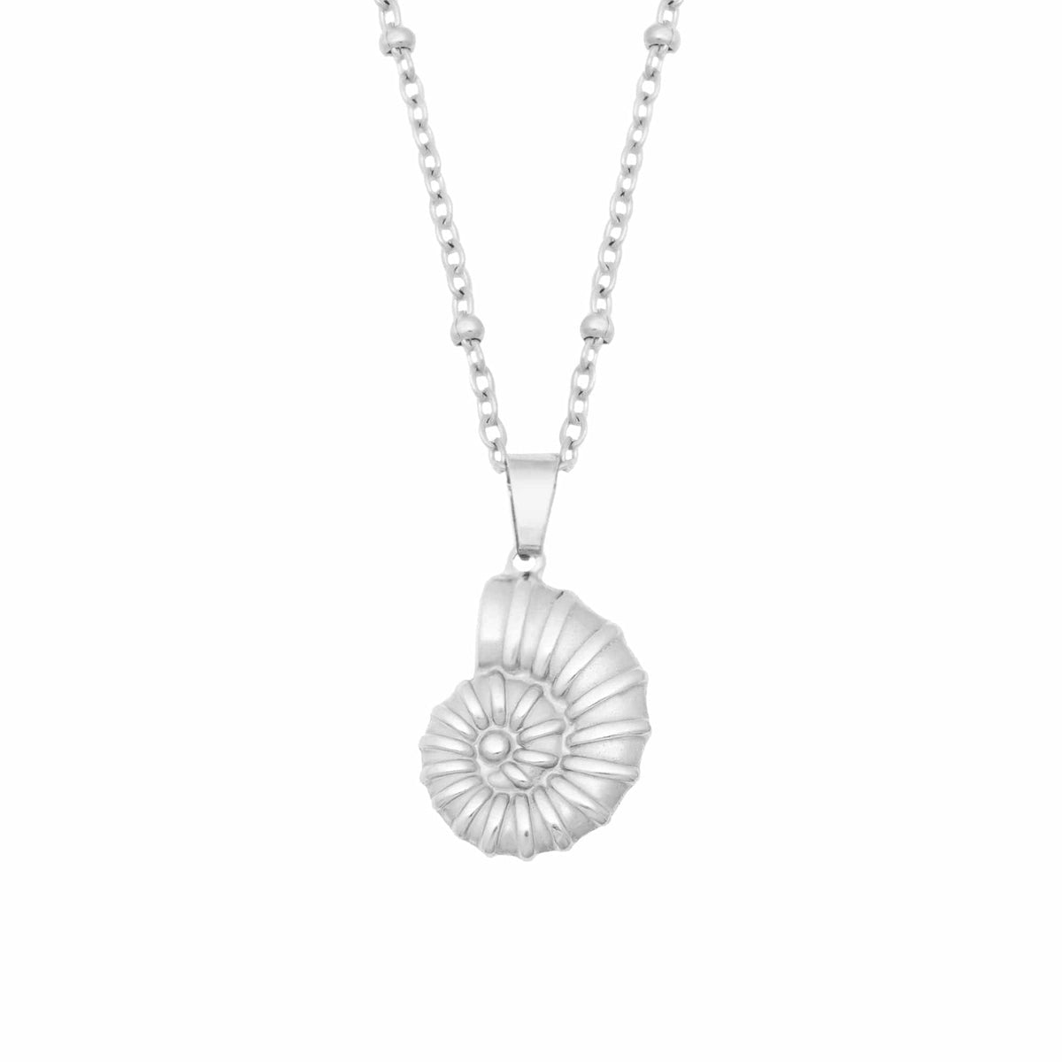 Shell Drop Necklace