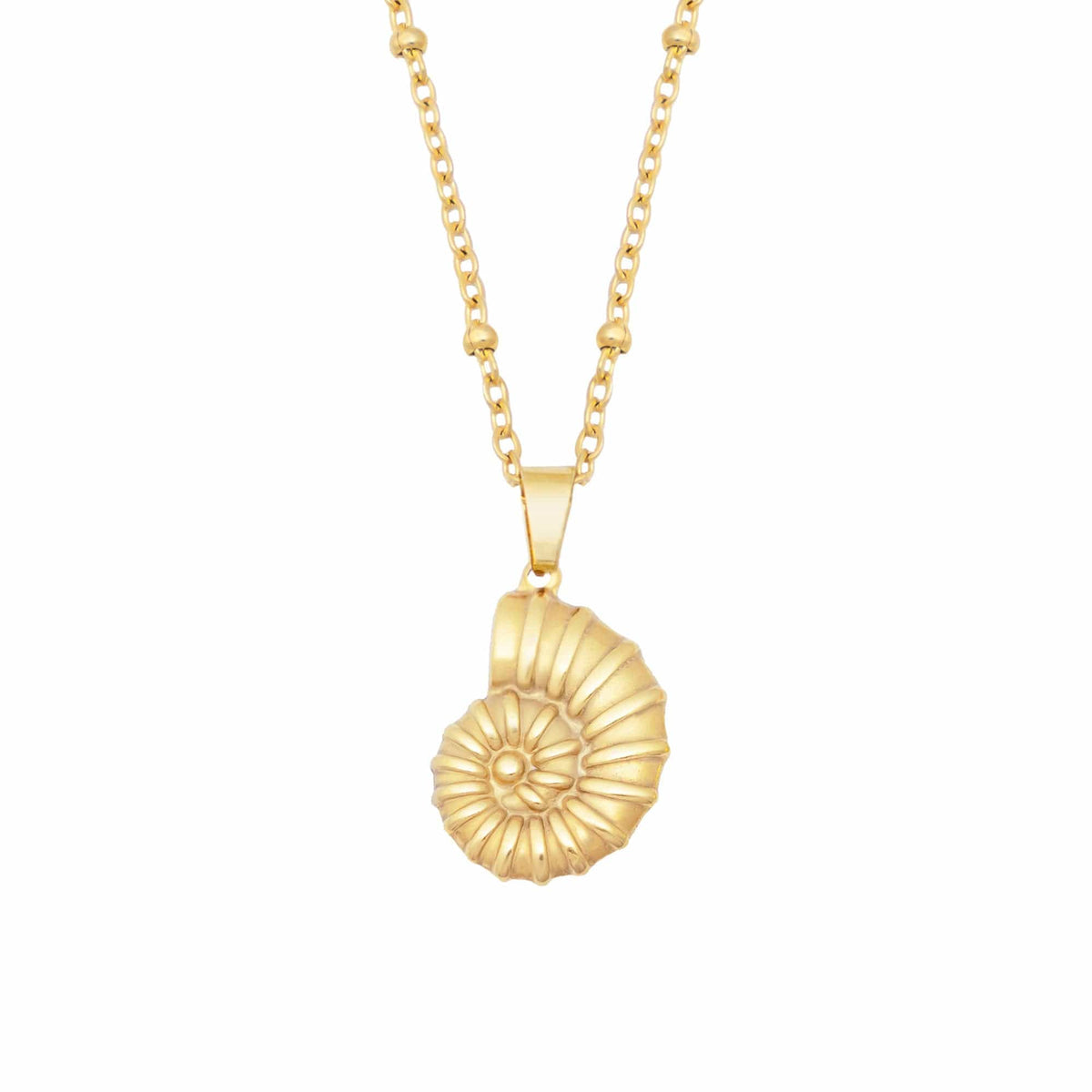Shell Drop Necklace